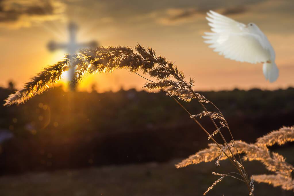 646379875 1475257964394574 6501166310887376110 n